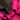 Pink LOEWE Nappa Aire Hobo Bag - Designer Revival