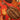 Orange Hermès Citrouilles et Coloquintes Silk Scarf 90 Scarves