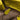 Yellow Bottega Veneta Nappa Intrecciato Bucket Bag - Designer Revival