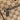 Brown Gucci GG Canvas Crossbody - Designer Revival