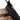 Brown Gucci GG Canvas Abbey D Ring Crossbody - Designer Revival