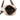 Brown Burberry House Check Canvas Crossbody