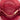 Pink Prada Medium Saffiano Lux Promenade Satchel - Designer Revival