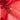 Red LOEWE Leather Fusta 25 Satchel - Designer Revival