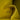 Yellow Louis Vuitton Epi Alma PM Handbag - Designer Revival