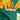 Green Hermès Hommage A Charles Garnier Silk Scarf 90