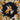 Black Hermès L Intrus Silk Scarf 90 Scarves
