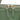 Green Gucci Small Microguccissima Patent Nice Satchel - Designer Revival