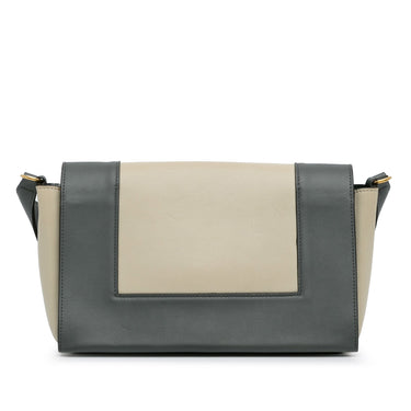 Gray Celine Frame Shoulder Bag