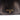 Black Chanel Denim Coco Flap Wallet - Designer Revival