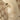 Beige Gucci GG Canvas Sukey Satchel