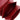 Red Burberry Leather TB Wallet On Strap Crossbody Bag