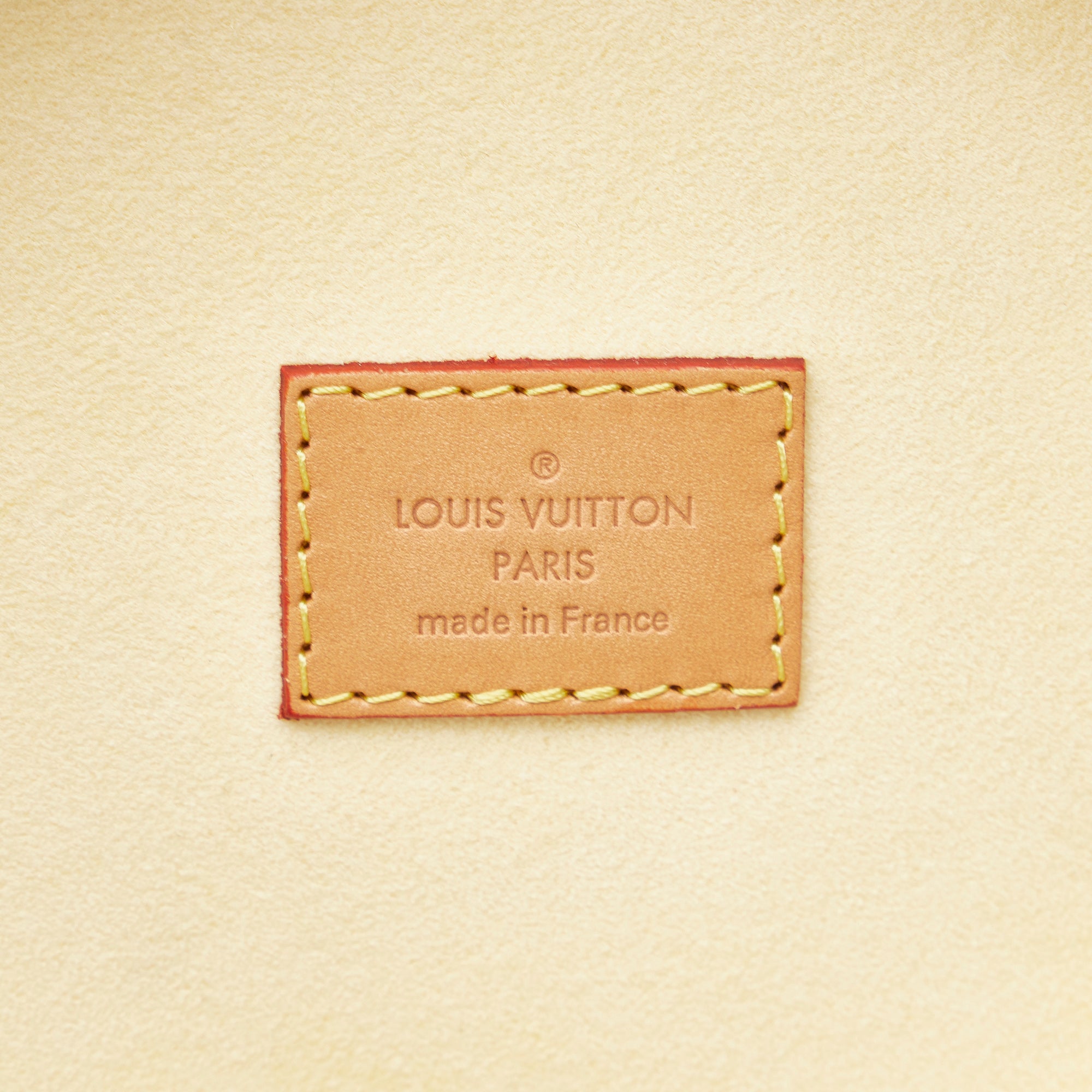 Louis Vuitton Monogram Pop Cannes PM