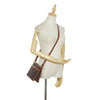 Brown Versace La Greca Crossbody Bag