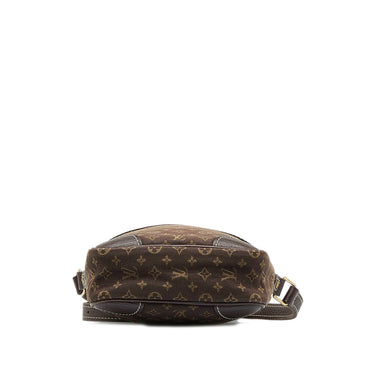 Brown Louis Vuitton Monogram Mini Lin Danube Crossbody Bag - Designer Revival