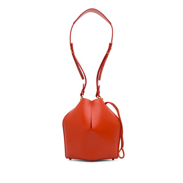 Red Alexander McQueen Leather The Bucket Bag - Designer Revival