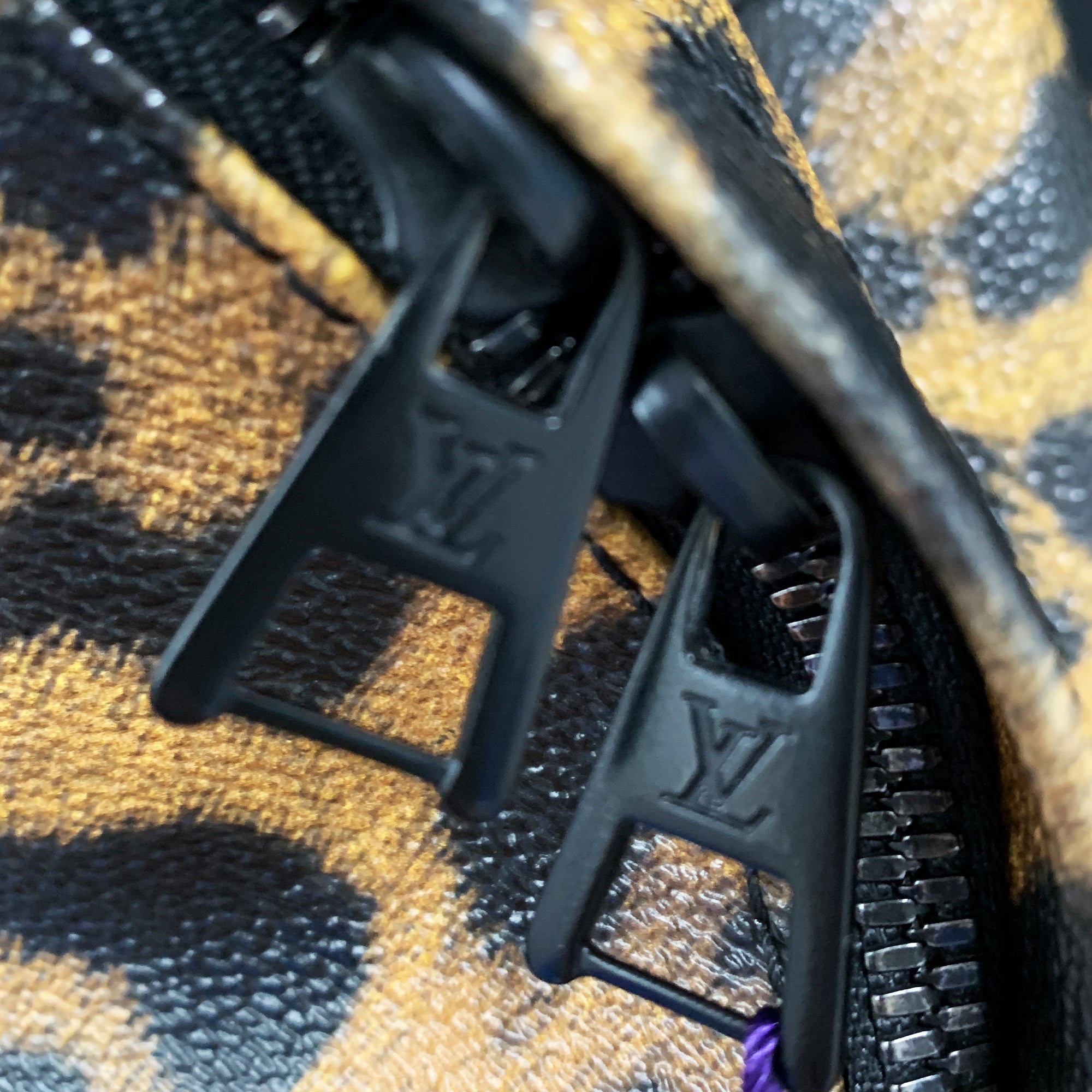 Louis Vuitton, Wild Animal Palm Springs Backpack