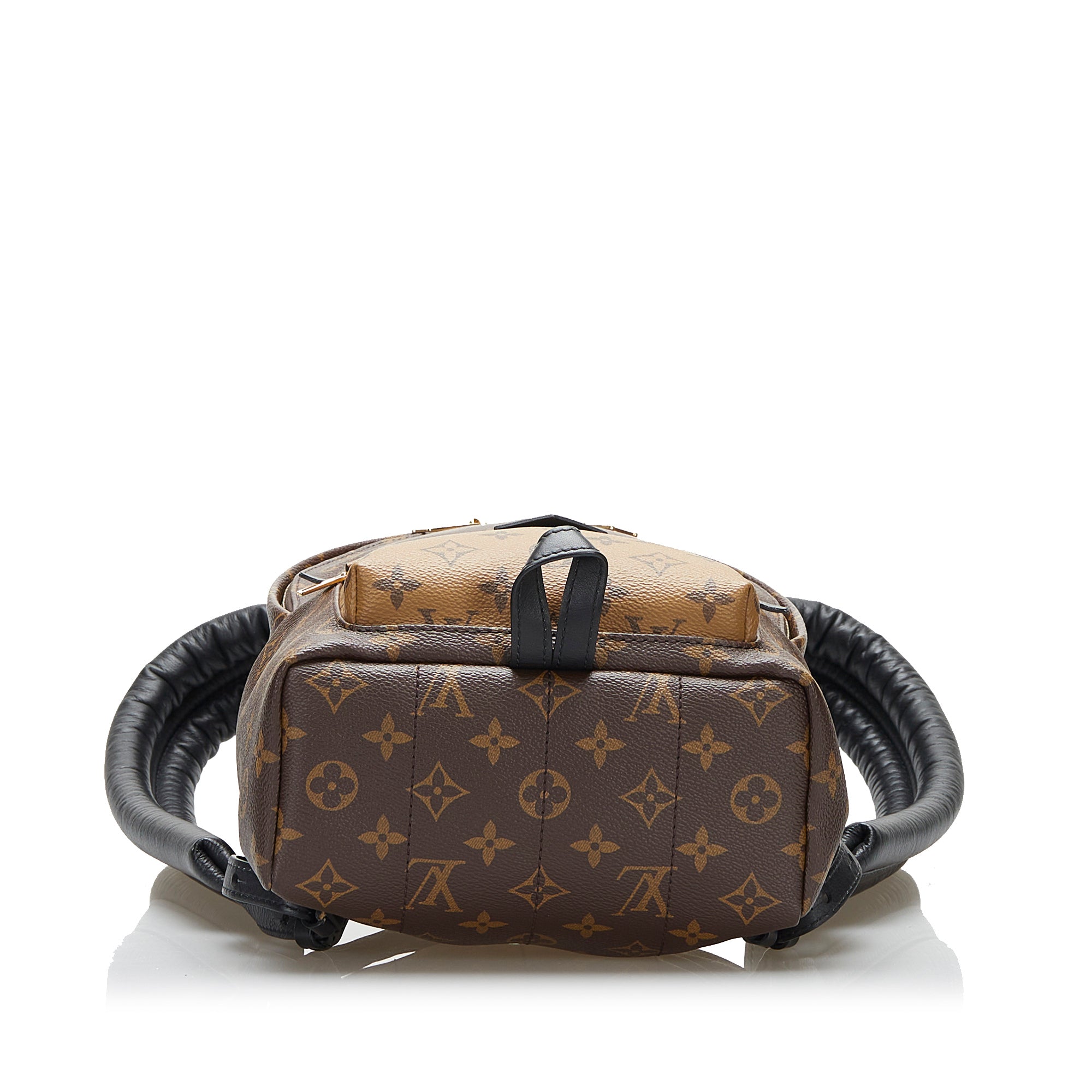 Louis Vuitton Monogram Palm Spring PM - Brown Backpacks, Handbags -  LOU811855
