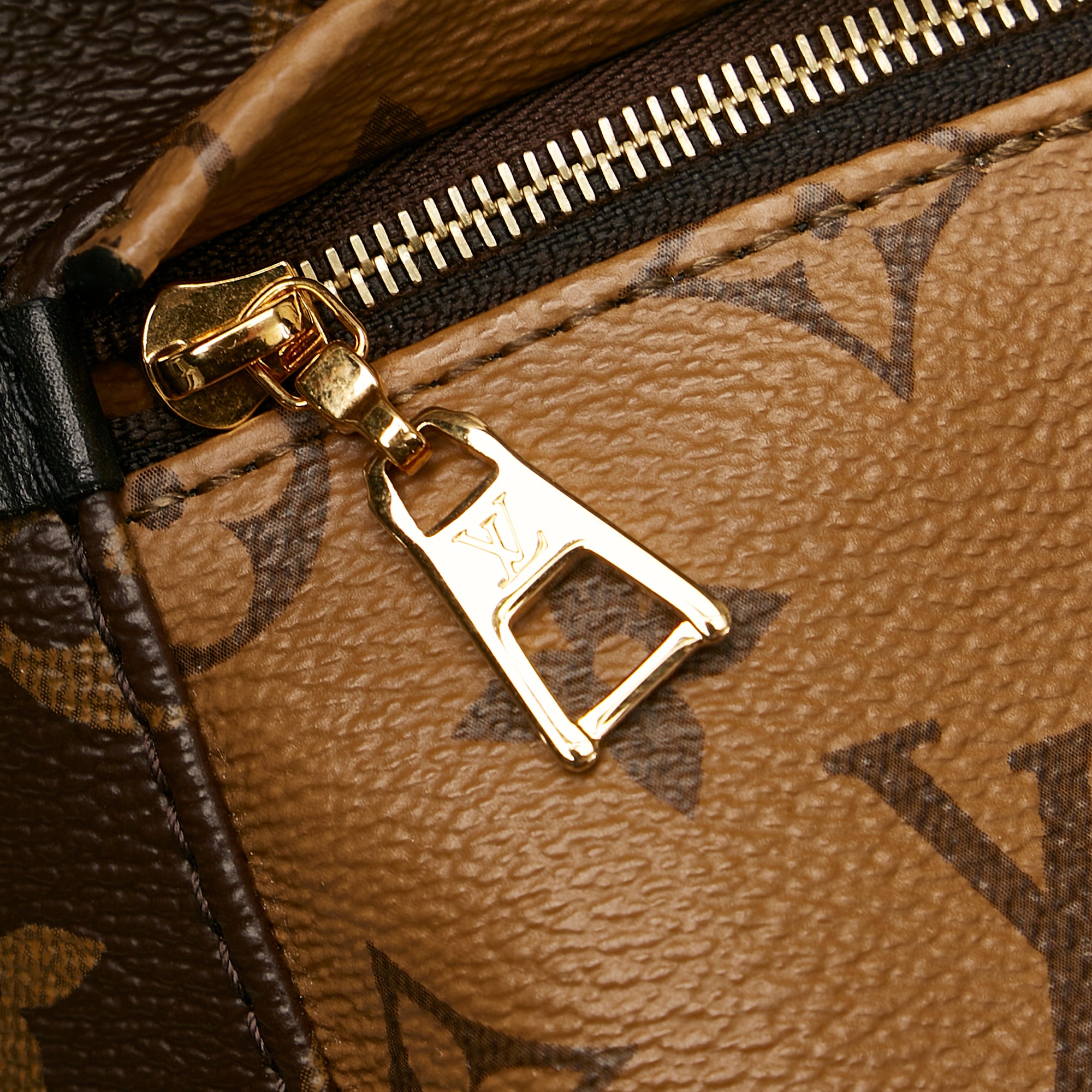 Brown Louis Vuitton Monogram Palm Springs MM Backpack – Designer Revival