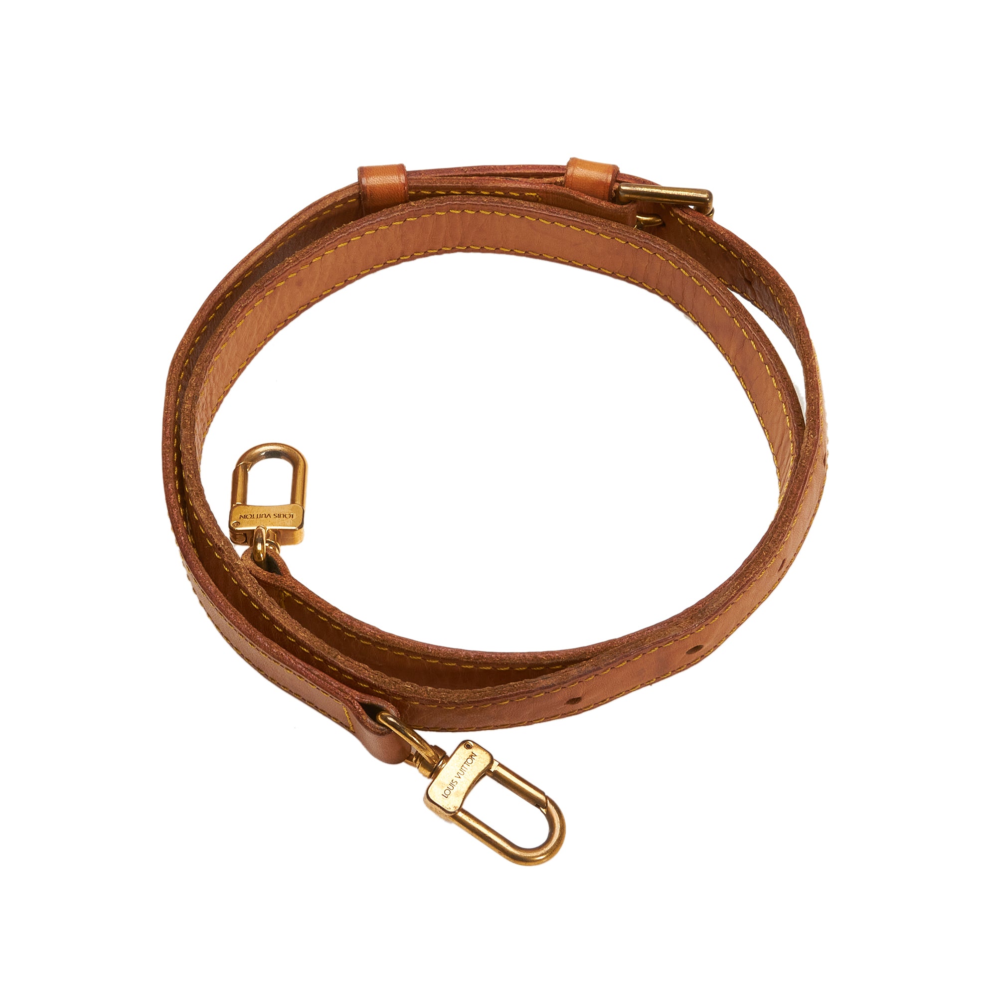 Brown Chewy Vuitton Leash