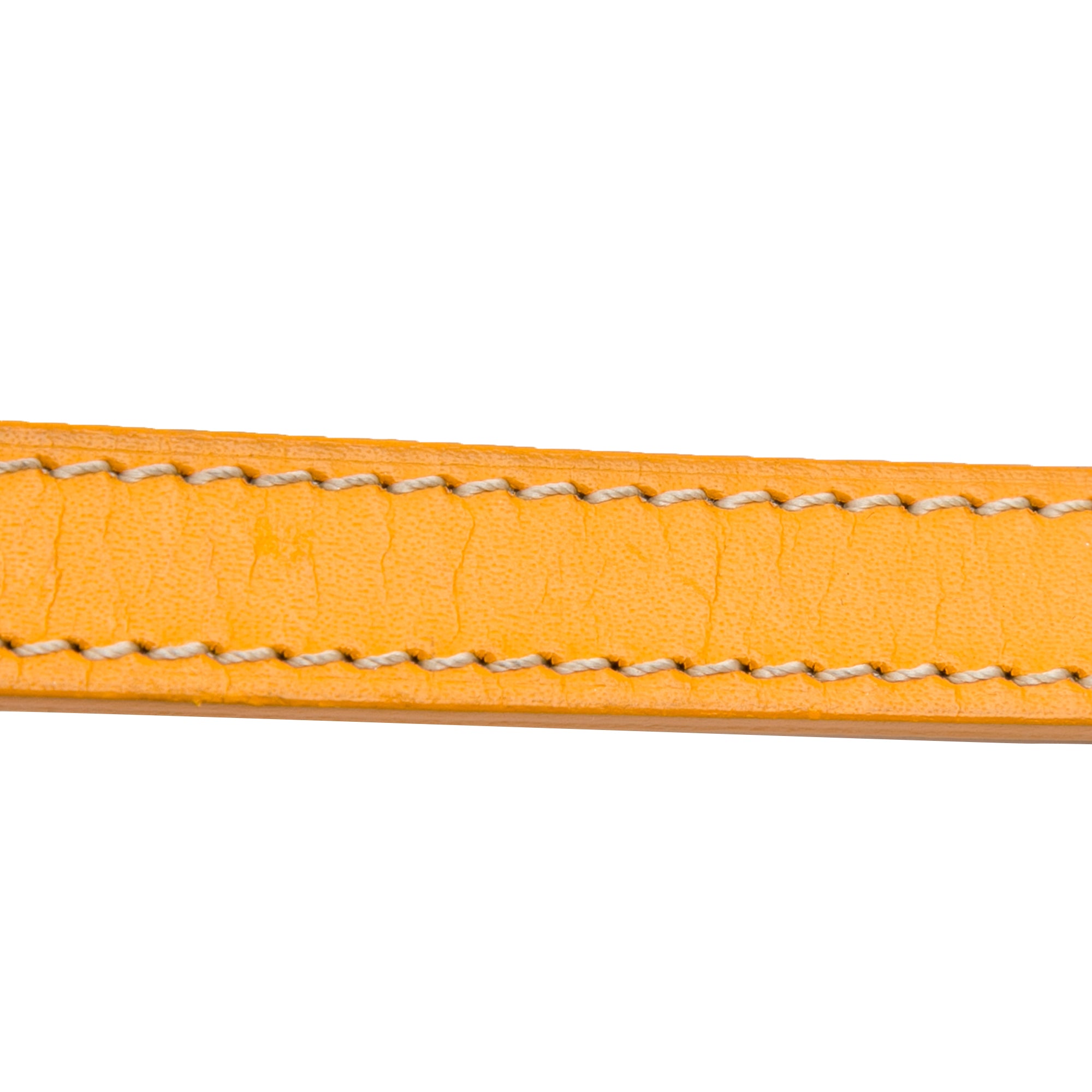 Cap vert leather crossbody bag Goyard Yellow in Leather - 34173000