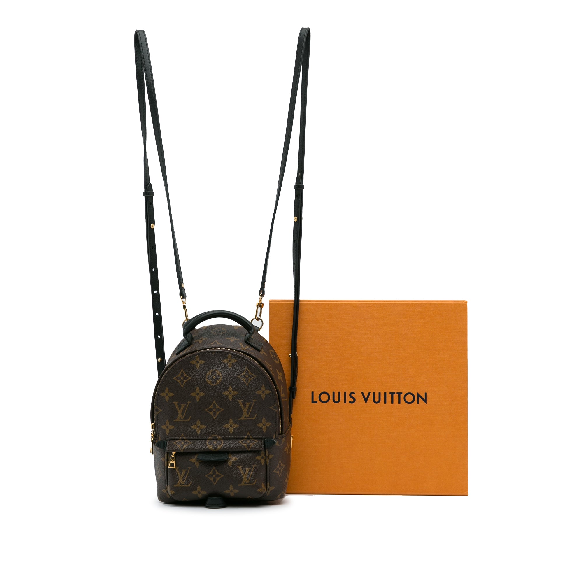 Brown Louis Vuitton Monogram Mini Palm Springs Backpack – Designer