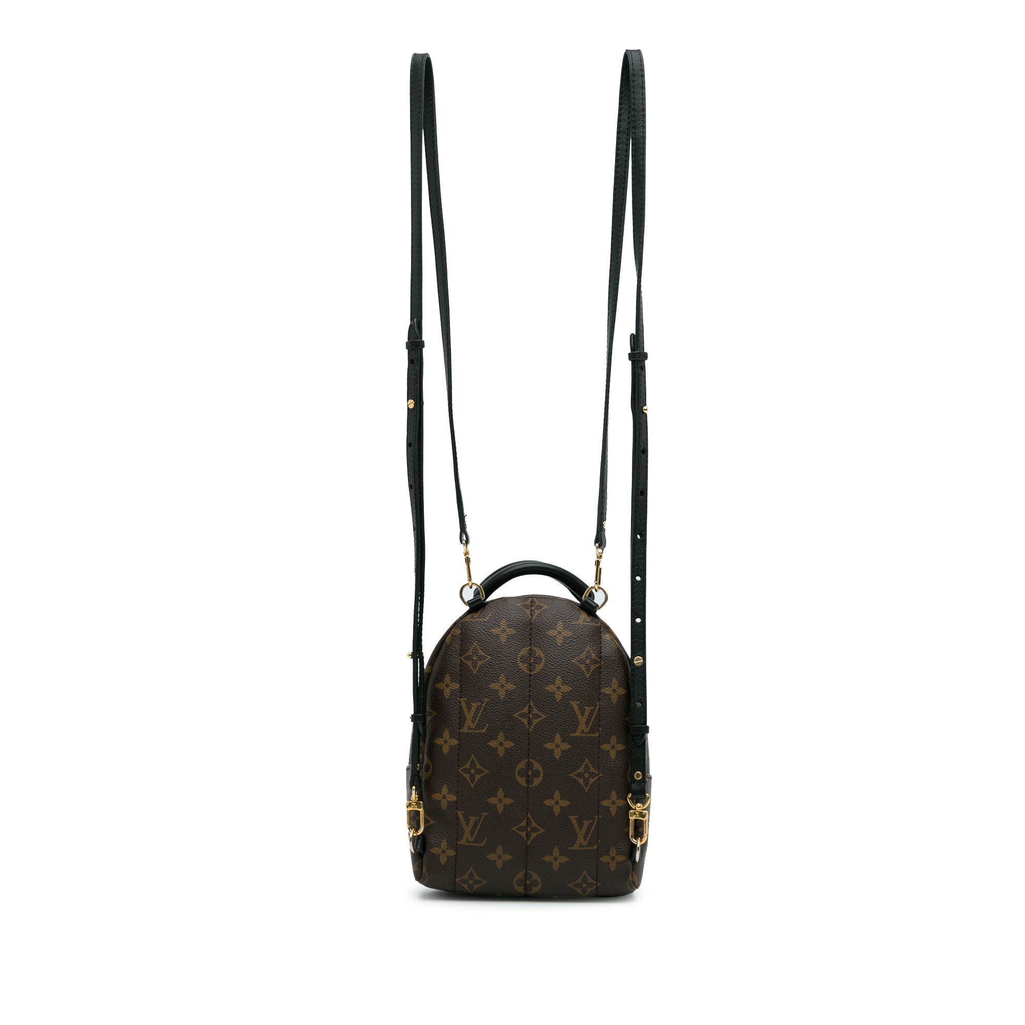 Louis Vuitton Monogram Palm Springs Mini Backpack - Brown