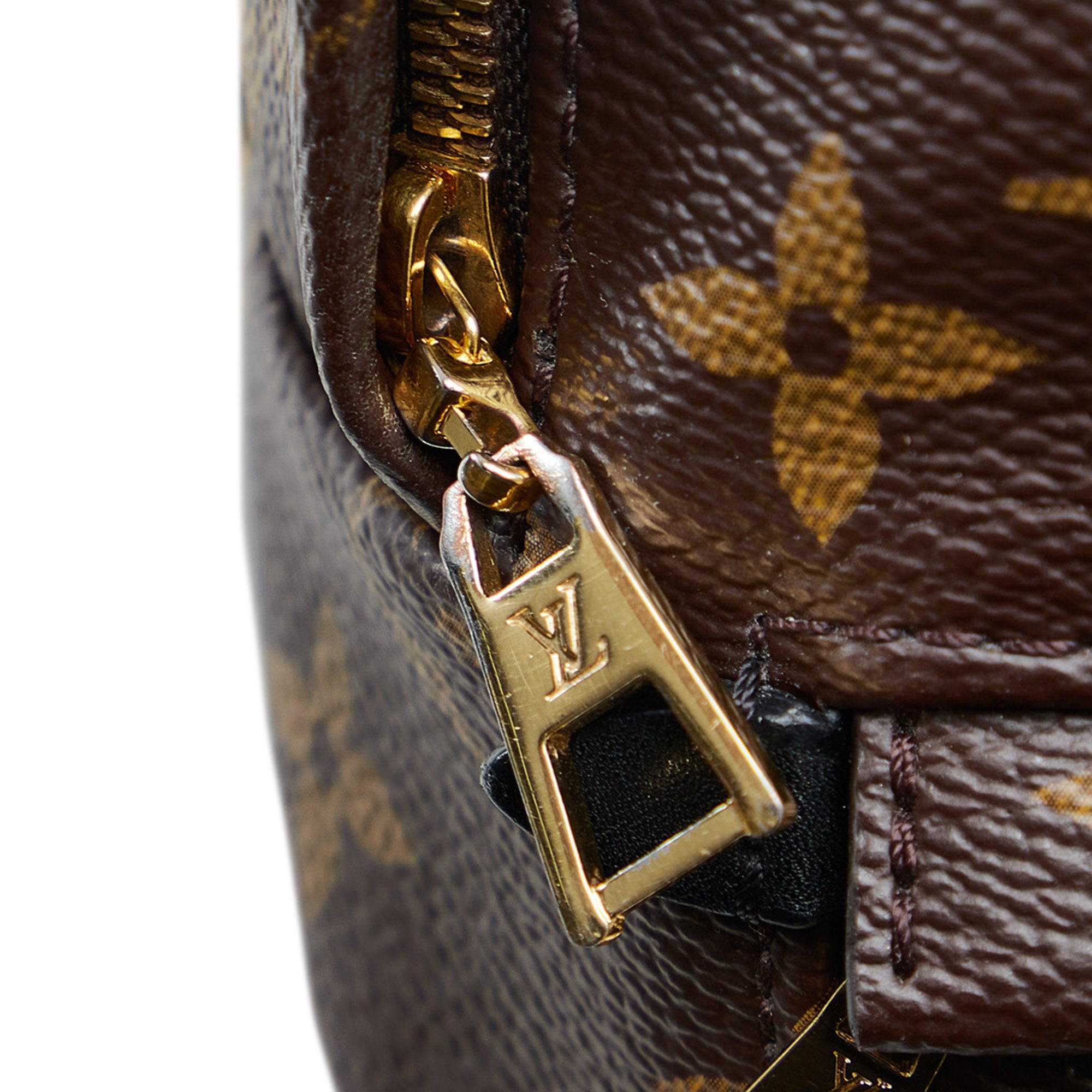Louis Vuitton Mini Monogram Palm Springs Backpack - Brown Backpacks,  Handbags - LOU791696