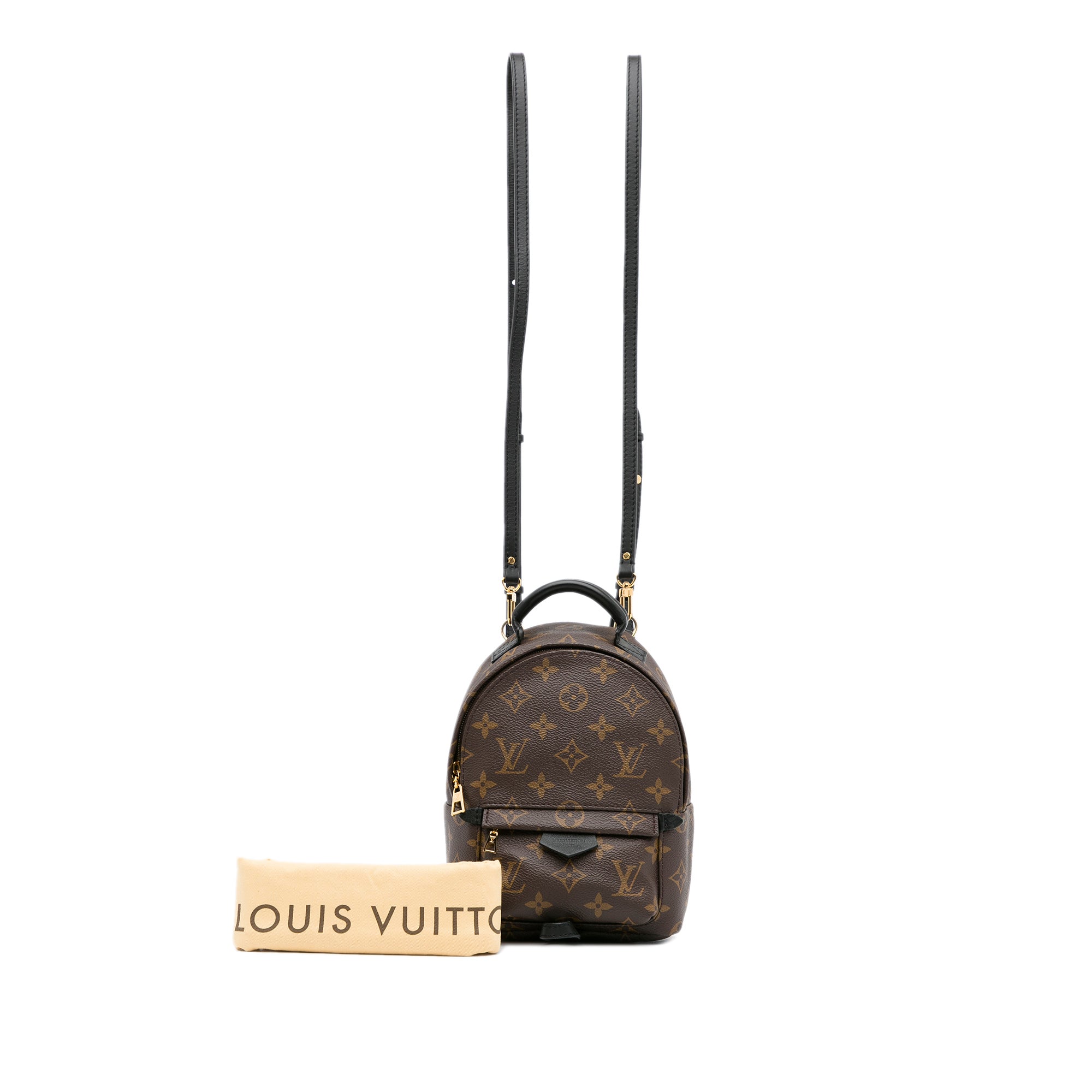 Louis Vuitton, Bags, Louis Vuitton Mini Palm Springs