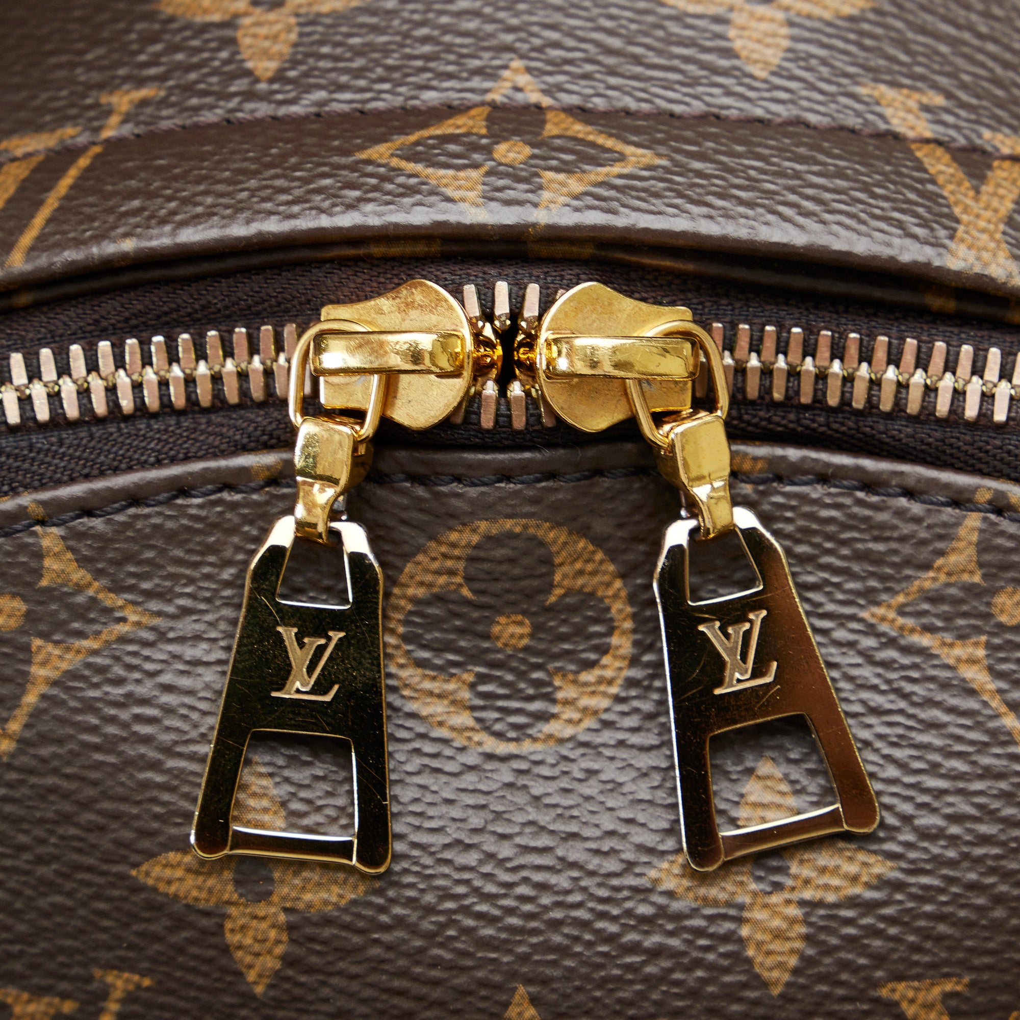 Louis Vuitton Palm Springs Monogram (updated Zipper) mm