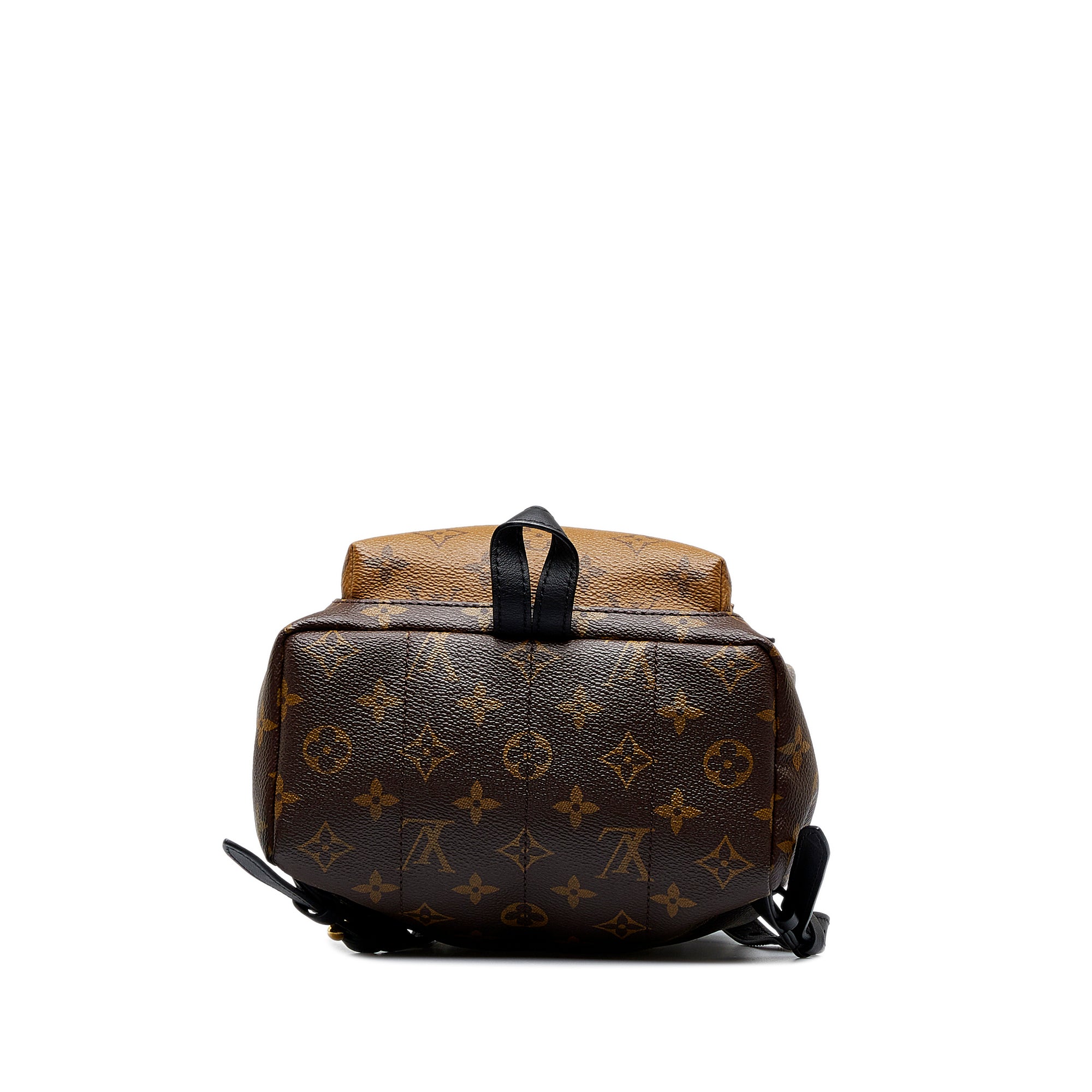 Louis Vuitton Palm Springs PM Monogram Reverse Canvas Backpack Brown